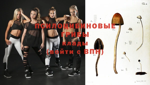 тгк Богданович
